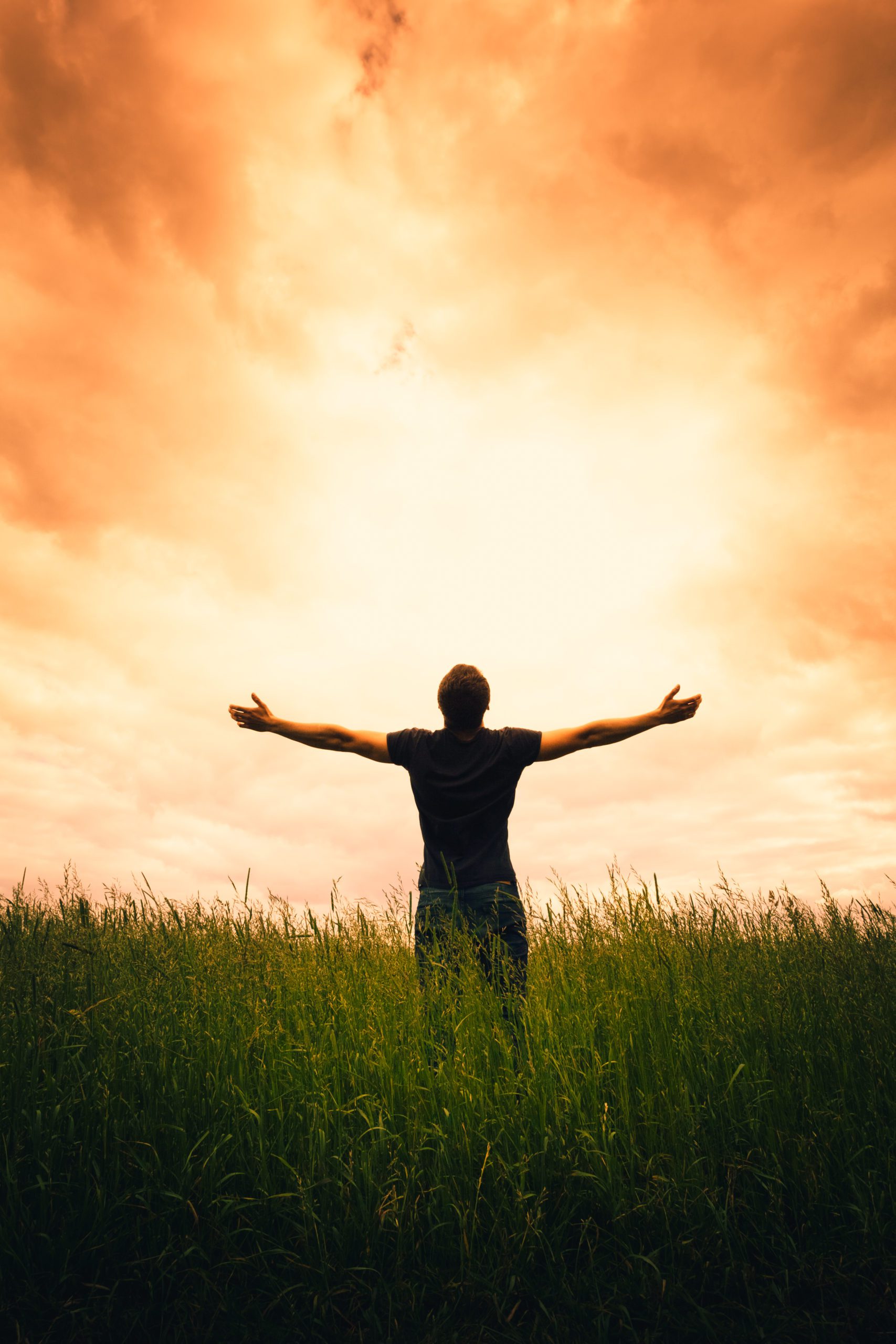 silhouette of man standing in a field at sunset